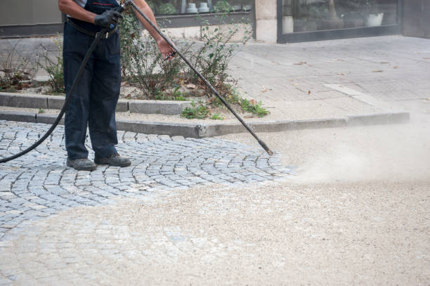 Best Gutter Cleaning  in Sackets Harbor, NY