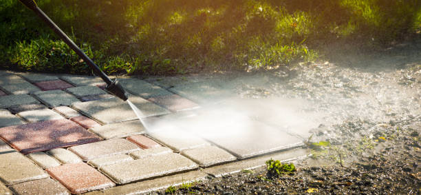 Best Animal Enclosure Cleaning  in Sackets Harbor, NY