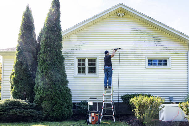 Best Roof Washing  in Sackets Harbor, NY